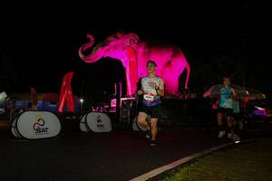 BIB: 
                            <button type="button" onclick="openModal(26543271)" class="btn btn-primary btn-sm float-right btn-popup" data-toggle="modal" data-target=".modal-high-quality">
                        <i class="fas fa-shopping-cart"></i> Add to Cart
                    </button>
                                            <button type="button" onclick="isThisMe(26543271, true)" class="btn btn-success btn-sm float-right btn-popup btn-isme hidden" data-toggle="tooltip" data-placement="bottom" title="นี่คือรูปของคุณใช่ไหม คลิกที่นี่เพื่อเอาเข้าอัลบั้ม">
                        <i class="fas fa-plus"></i> Add to album
                    </button>
                    <button type="button" onclick="isThisMe(26543271, false)" class="btn btn-warning btn-sm float-right btn-popup btn-isnotme hidden">
                        <i class="fas fa-ban"></i> Remove from album
                    </button>